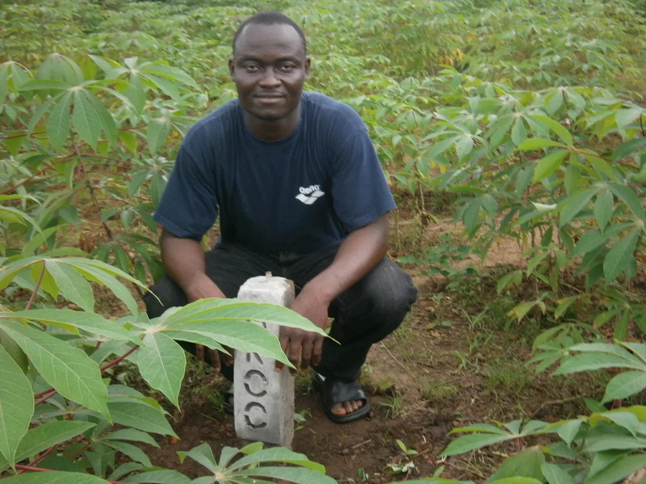 Grow Big Group farm activity