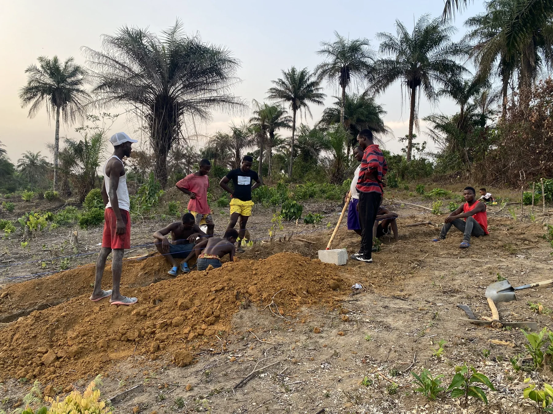 Grow Big Group farm activity