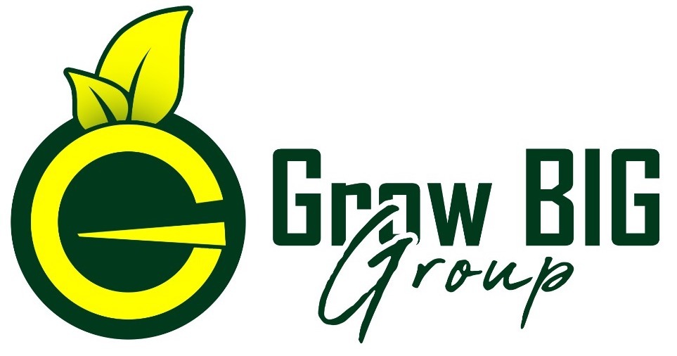 Grow Big Group